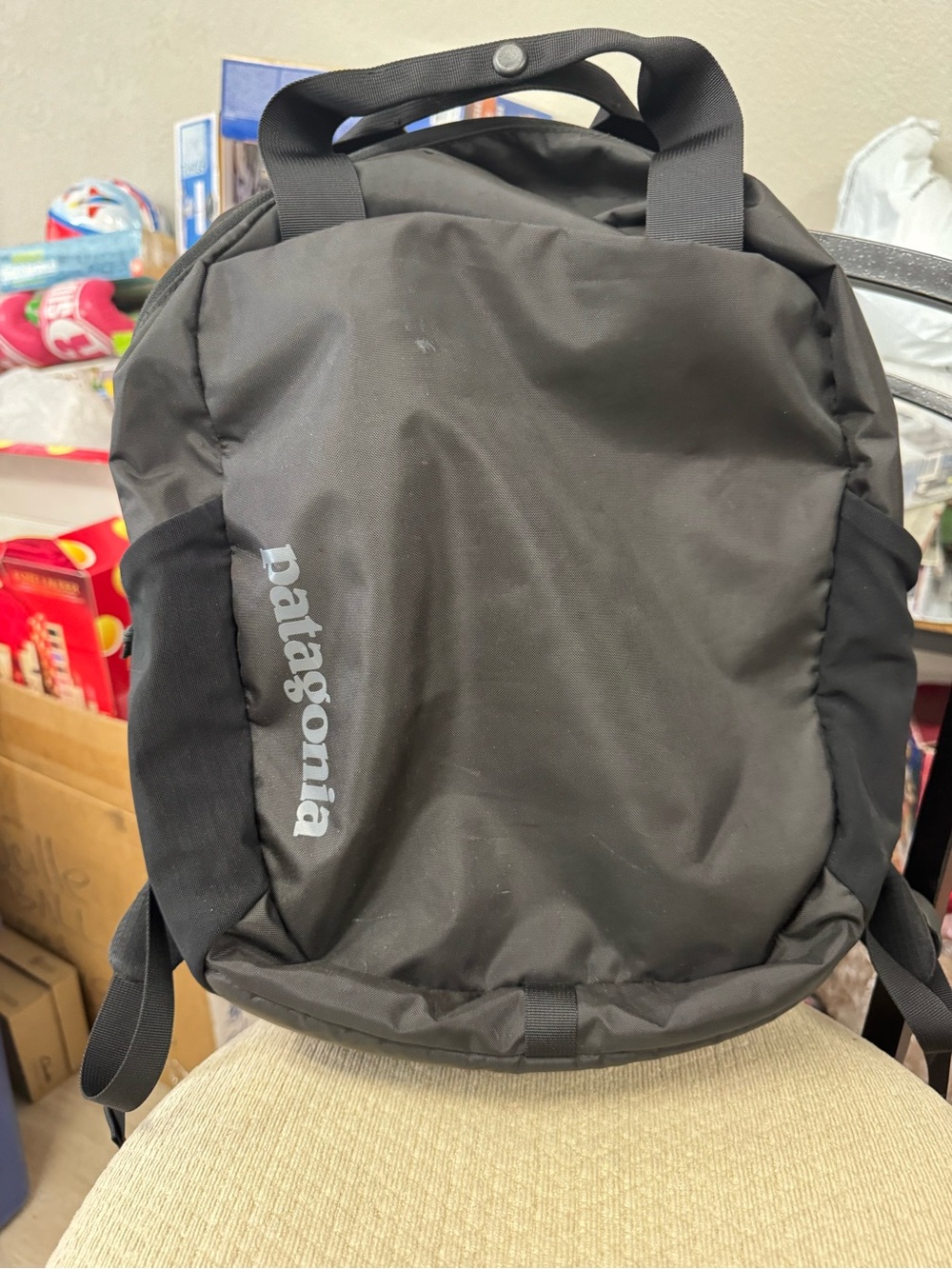 Patagonia Black Daypack with Vertical Logo - Unisex